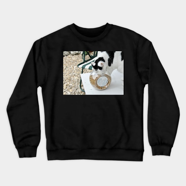 Cat Burglar Too Crewneck Sweatshirt by Ladymoose